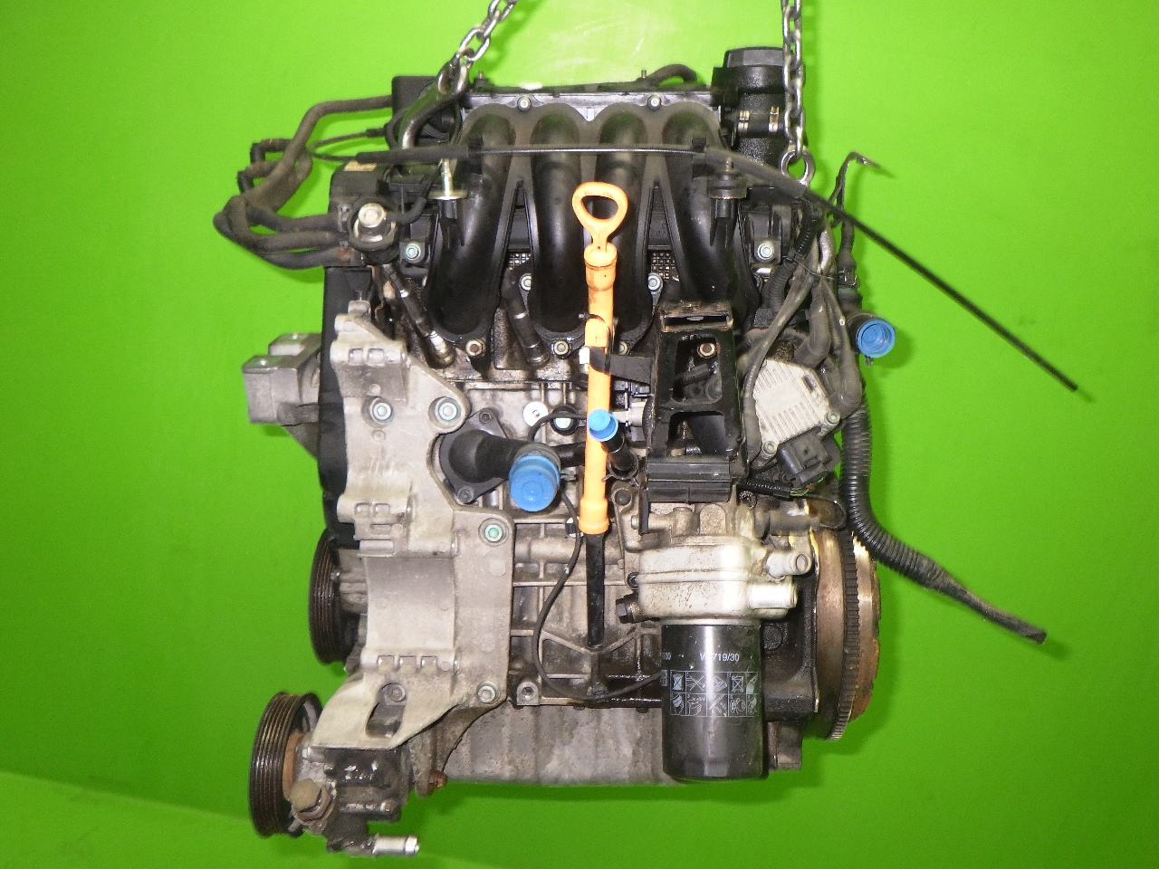 Benzinmotor Motor ohne Anbauteile Benzin AUDI (NSU) A3 (8L1) 1.6 AEH  - 381044
